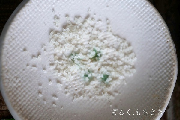 DSC07460a