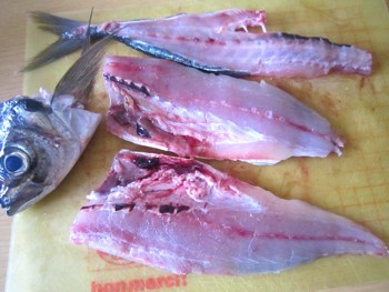 魚1