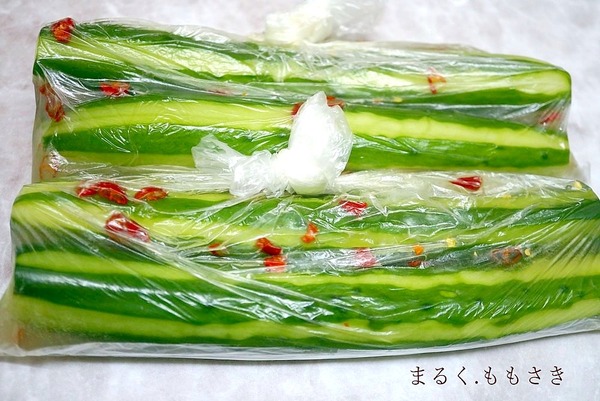DSC03136aa