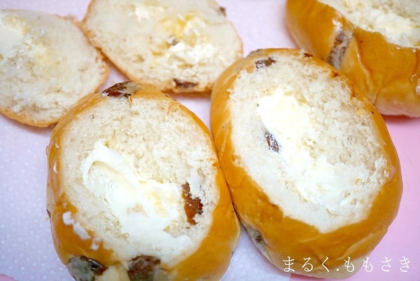 apDSC04586aa