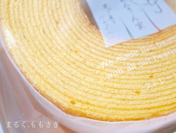 DSC00041a