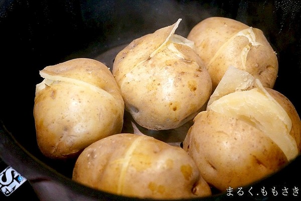 DSC07359a