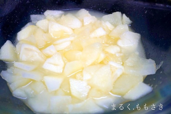 apDSC04518aa