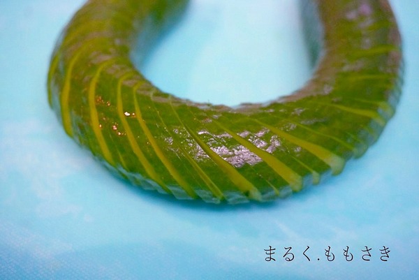 kyDSC00488a