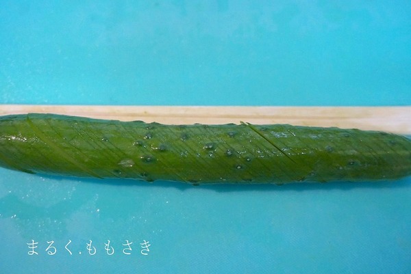 kyDSC00495a