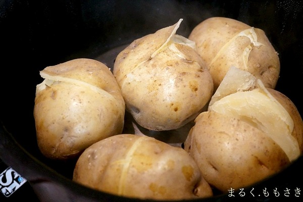 DSC07359a