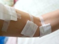 teat1.jpg