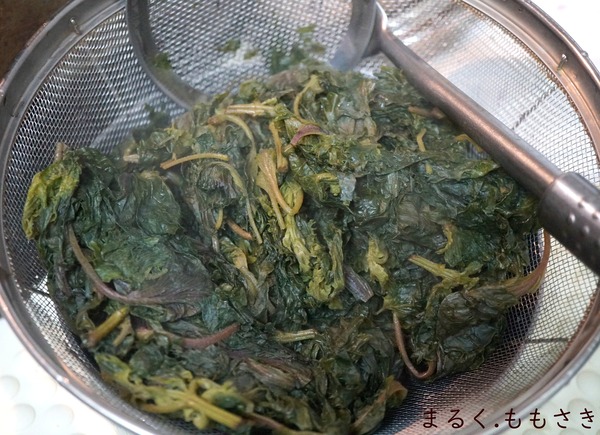 DSC05566