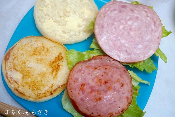 DSC03951a