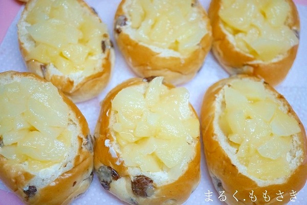 apDSC04591aa
