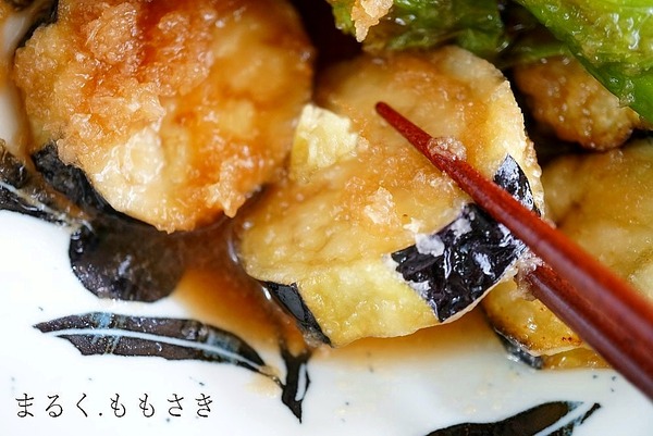 htDSC03539a