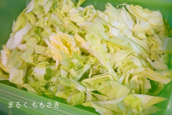ssDSC06167a