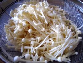 enoki4.jpg