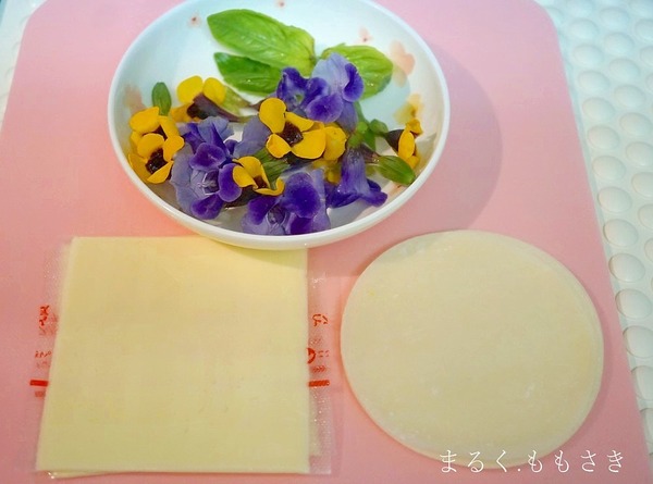 hpDSC05602 (2)