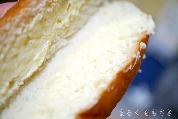 htDSC00070