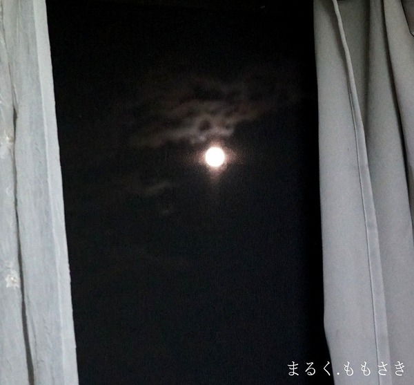 DSC03230 (2)m