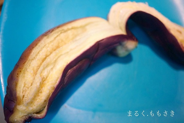 DSC07310aa