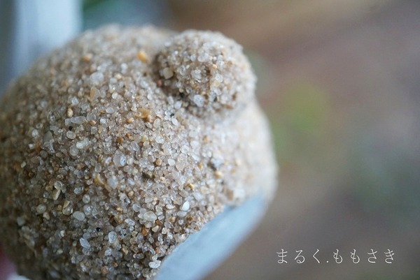 usDSC07628