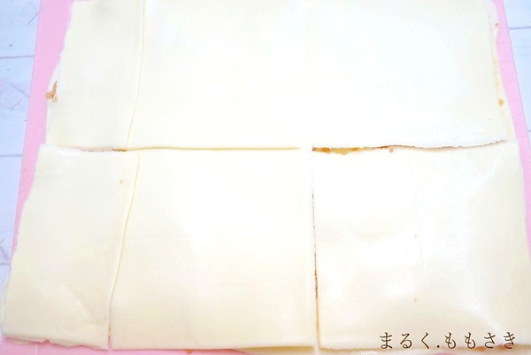 DSC04125a