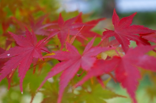 d325609f.jpg