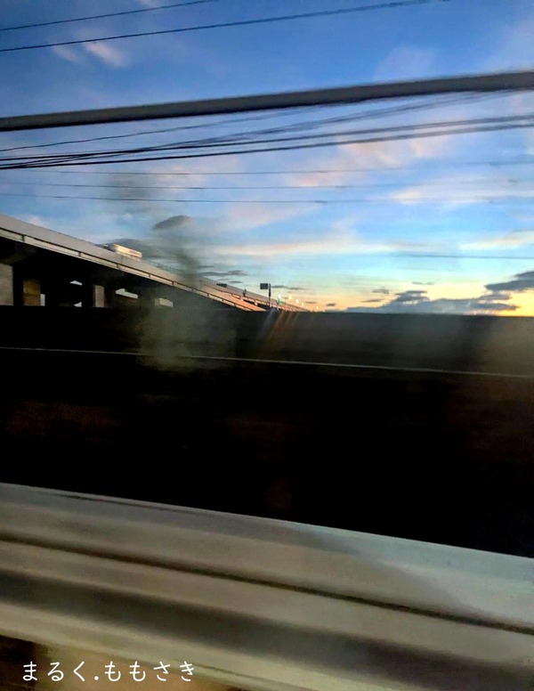 49673_0