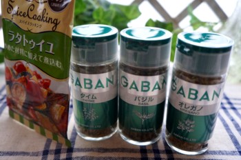 GABAN2.jpg