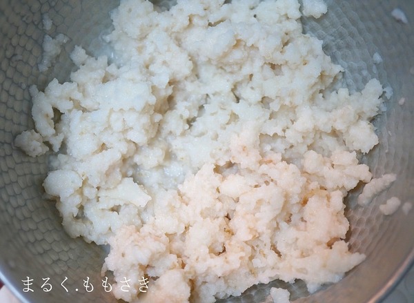 DSC00353a