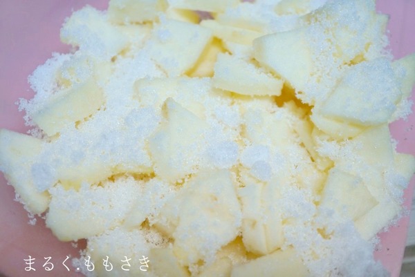 apDSC04502aa
