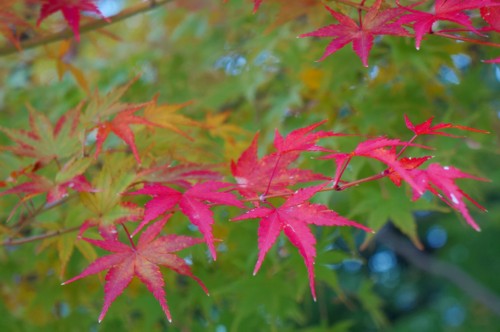 f3017ae0.jpg