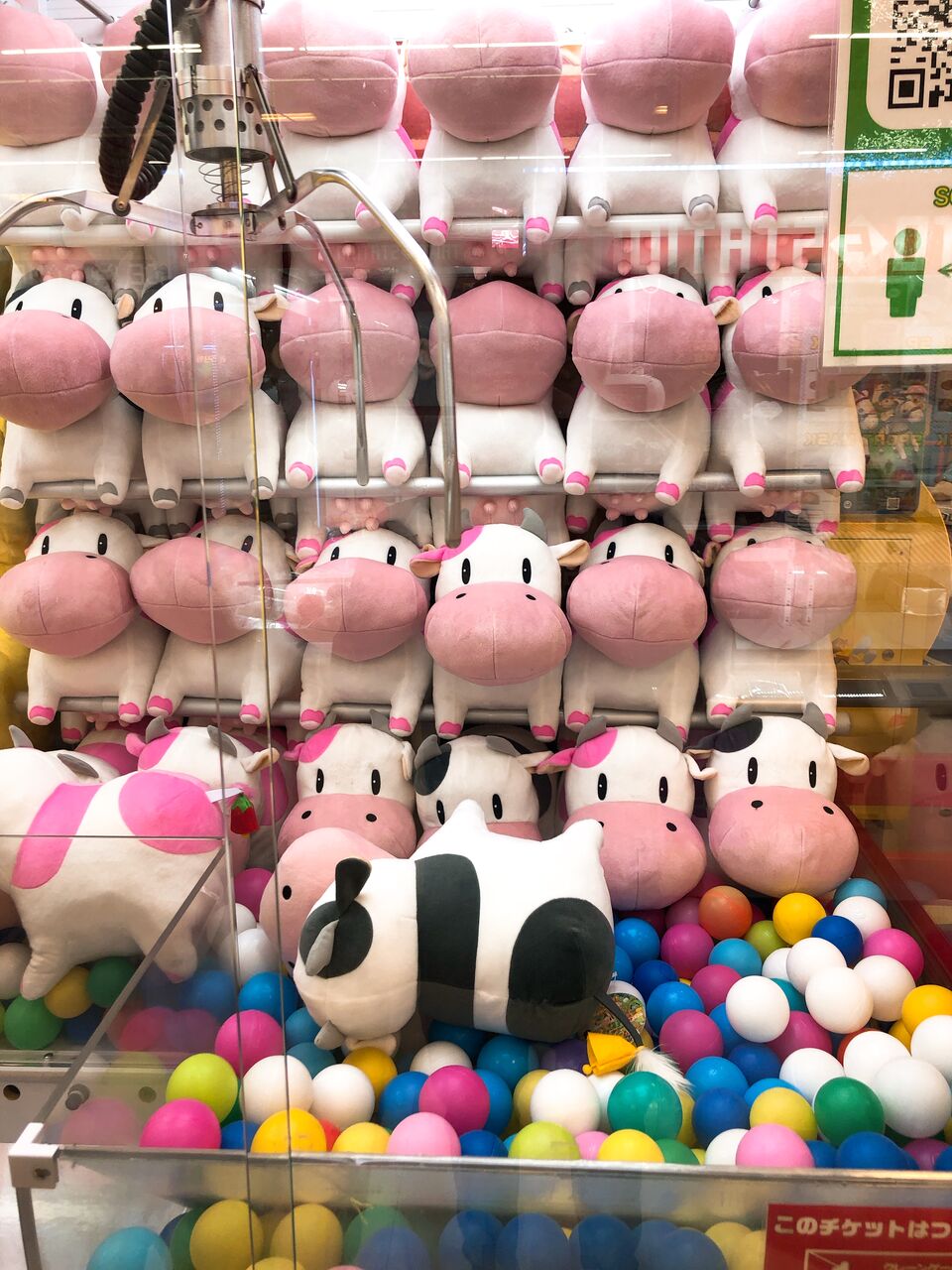 ファンには最高に嬉しい 牧場物語 うしぬいぐるみxl 2種 プライズより登場 どちらもほのぼのレビュー ひでまるぱぱのコレクションぶろぐ ファンには最高に嬉しい 牧場物語 うしぬいぐるみxl 2種 プライズより登場 どちらもほのぼのレビュー ひでまるぱぱのコレクションぶろぐ