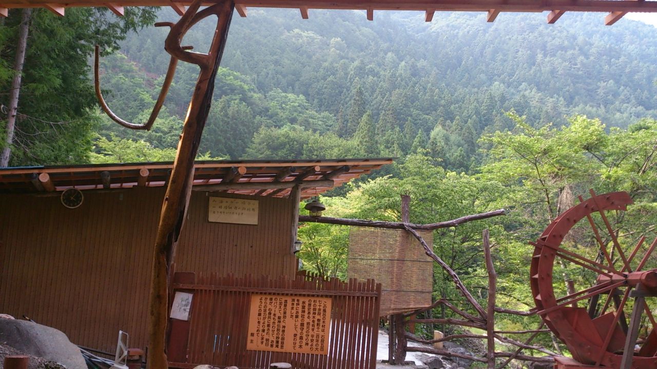 イメージ 5