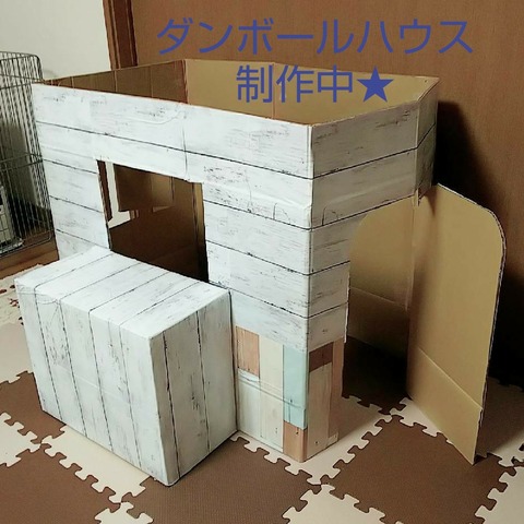 line_1579220316001
