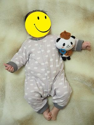 パンダ1
