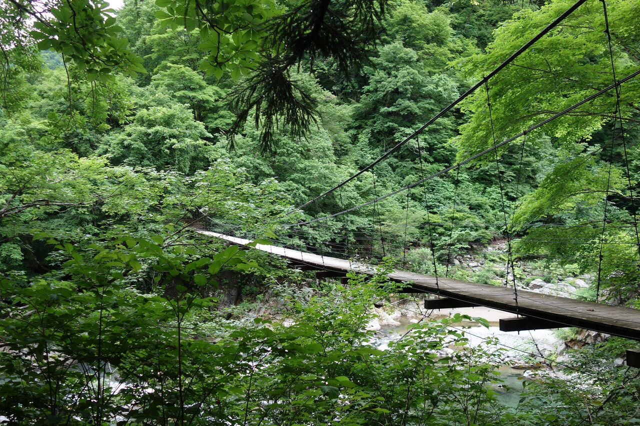 見倉橋 Tomの明るい空間 見倉橋 Tomの明るい空間