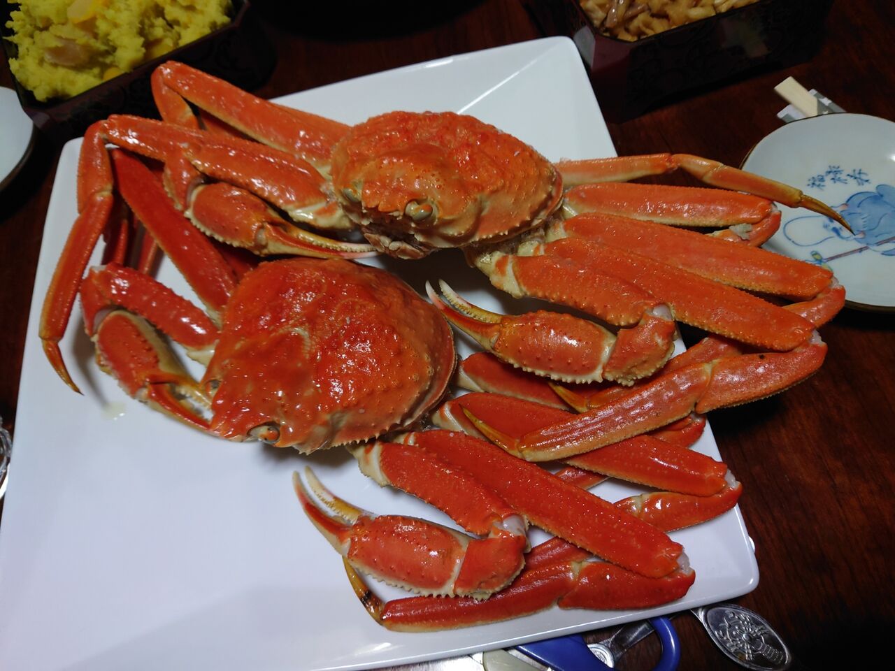 蟹 カニ Tomの明るい空間