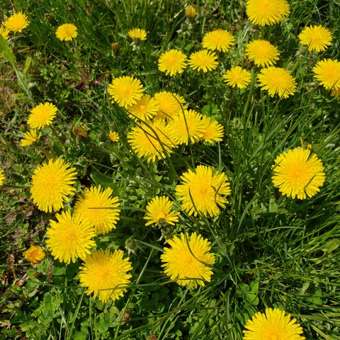20190516_130047