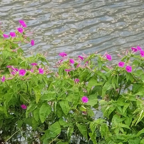 20190624_175427