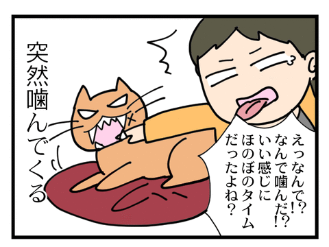 もみじ_03