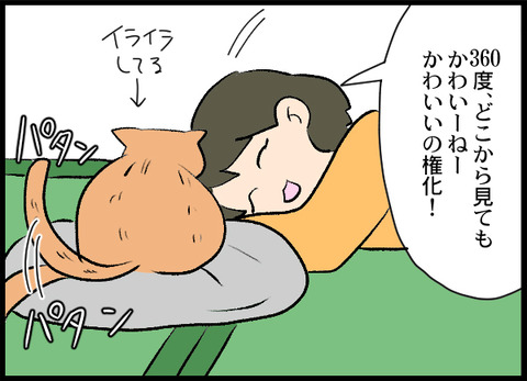 04_キモい猫好き_02