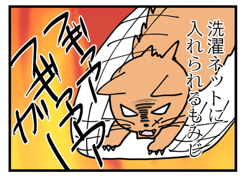 もみじ_05