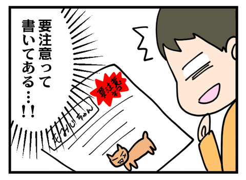 もみじ_07