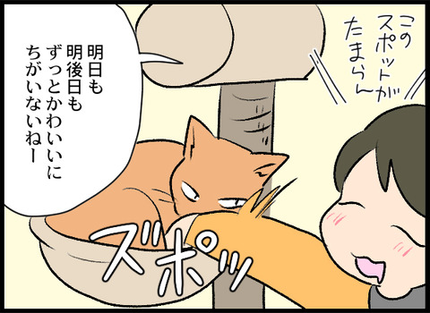 04_キモい猫好き_03