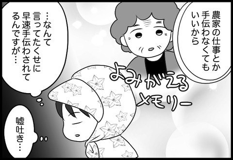 do_fair_13_03