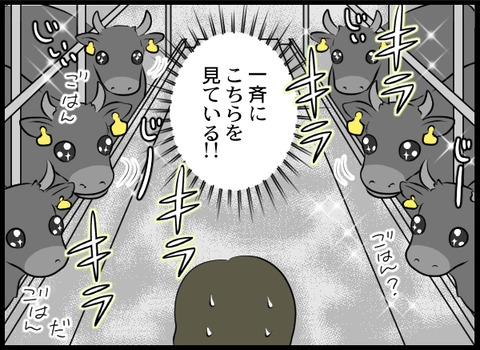 11_牛_04
