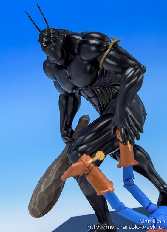 Lr4-016