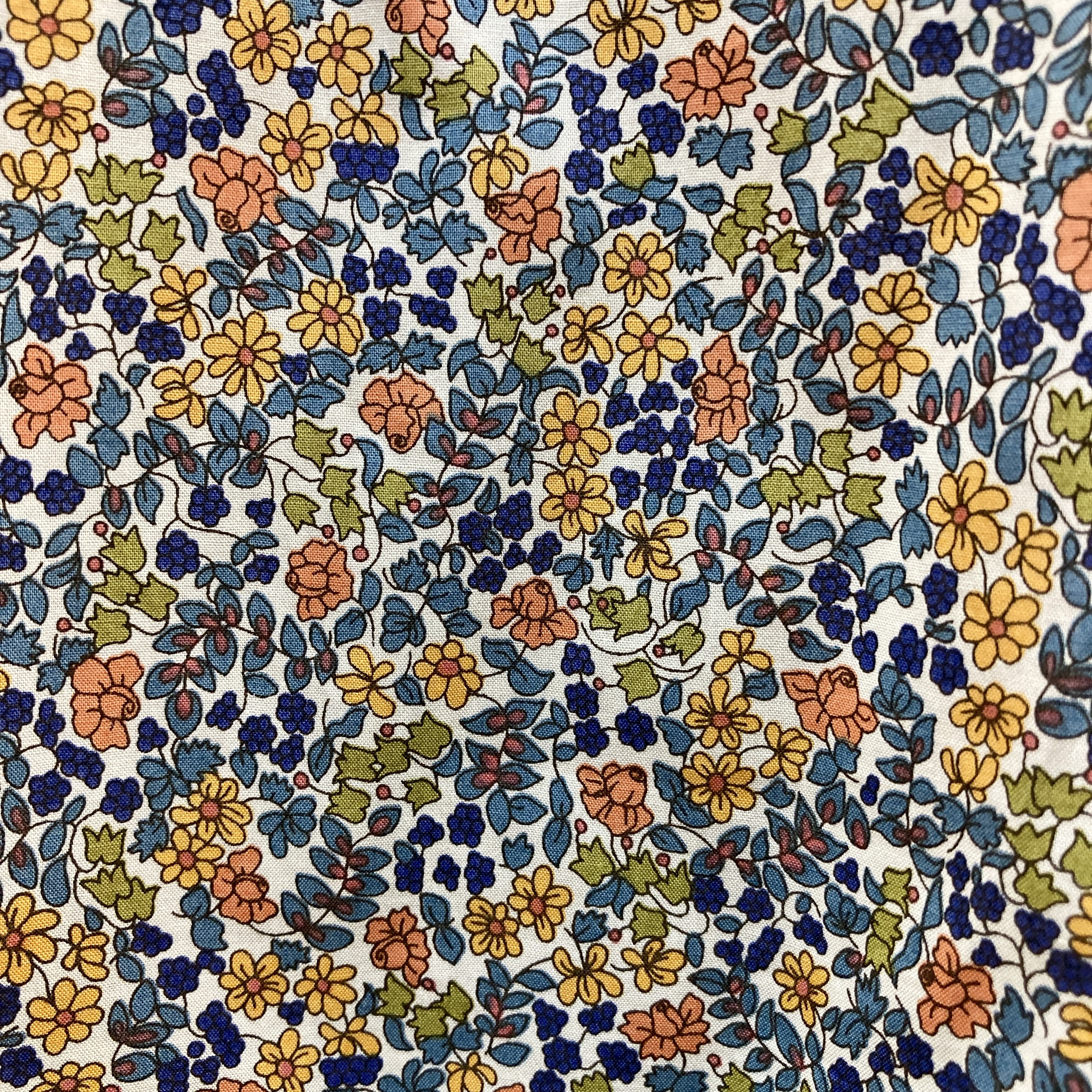 犬心頭 ヴァイタリティー保持 1 25kg X 4鞄 キノコ 雛型 制作室 Whirledpies Com