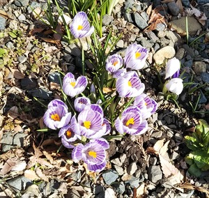 IMG_20190318_181840