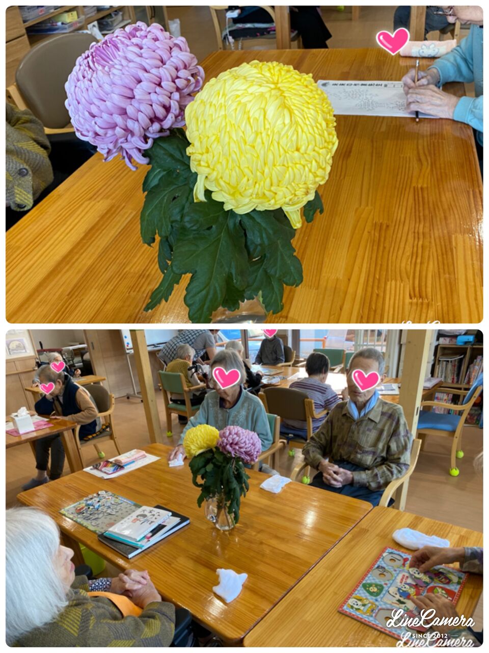 大輪の菊を頂きました 丸心ふわりのblog