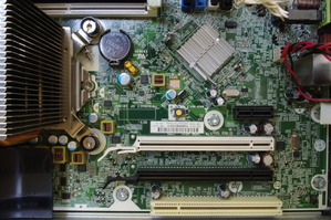 IMGP6501