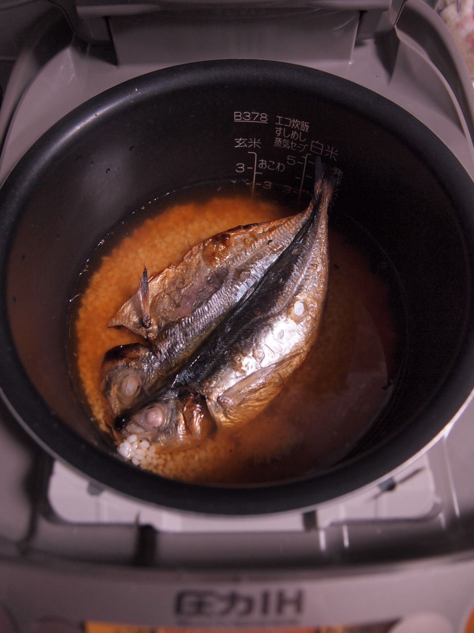 第21話 アジ 炊き込みごはーん マルタさんをたずねて